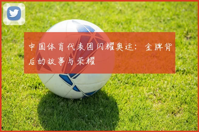 中国体育代表团闪耀奥运：金牌背后的故事与荣耀