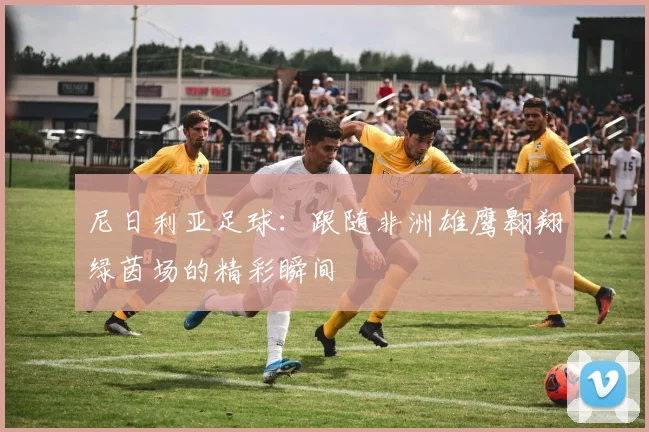 尼日利亚足球:跟随非洲雄鹰翱翔绿茵场的精彩瞬间