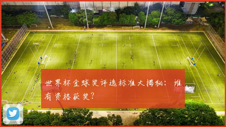 世界杯金球奖评选标准大揭秘:谁有资格获奖?