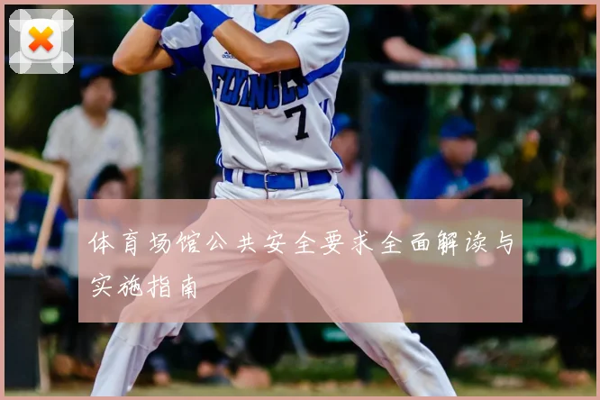 体育场馆公共安全要求全面解读与实施指南