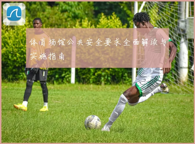体育场馆公共安全要求全面解读与实施指南