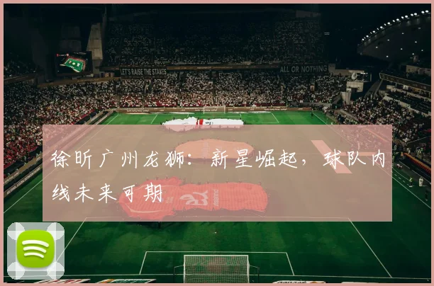 徐昕广州龙狮：新星崛起，球队内线未来可期